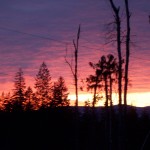 digital camera 093