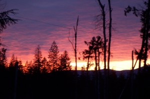 digital camera 093